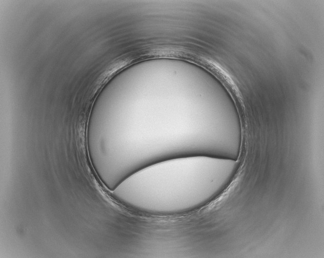 X0000116031041200911200956