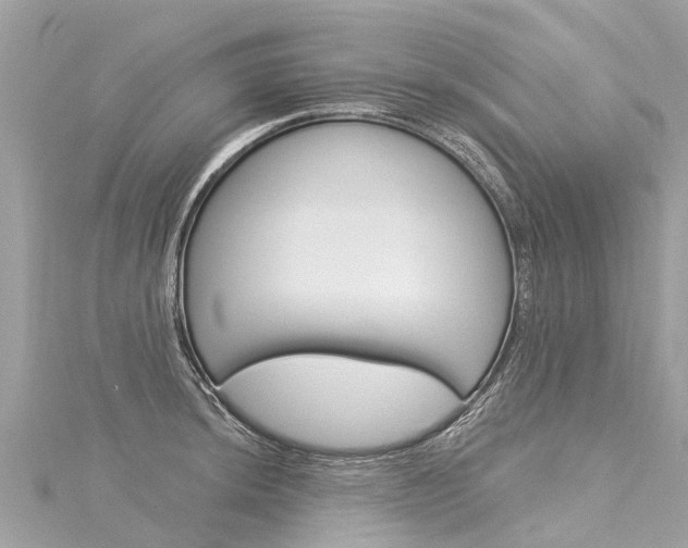 X0000116031044200911200956