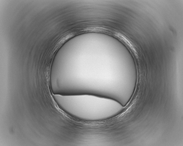 X0000116031049200911200956