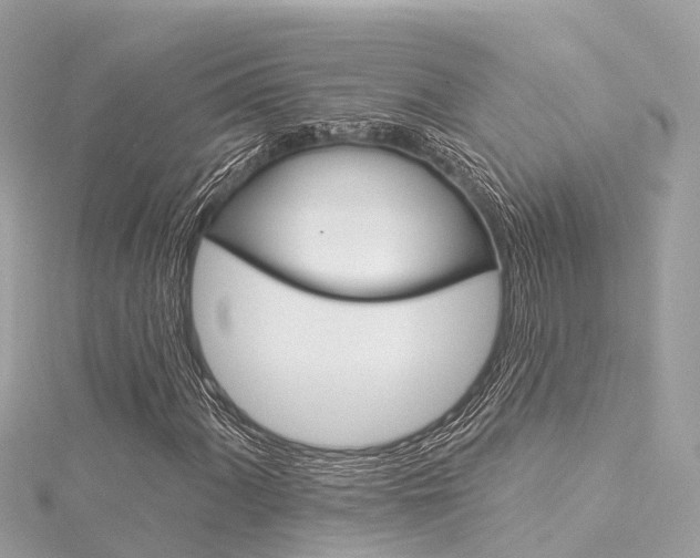 X0000116031060200911200955