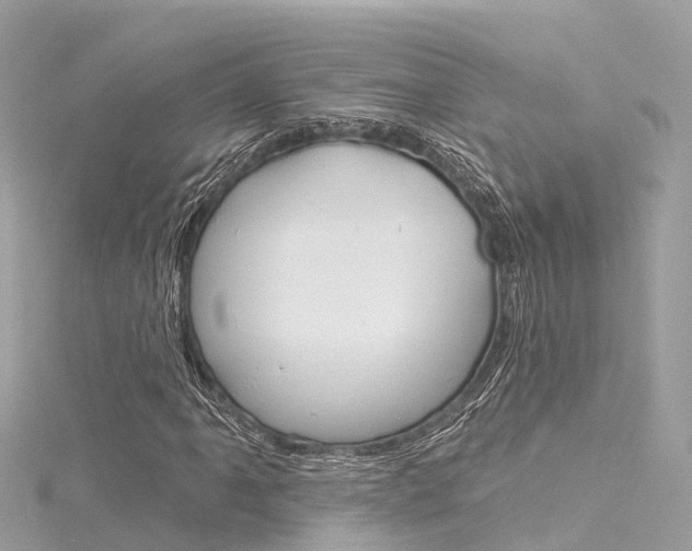 X0000116031061200911200955