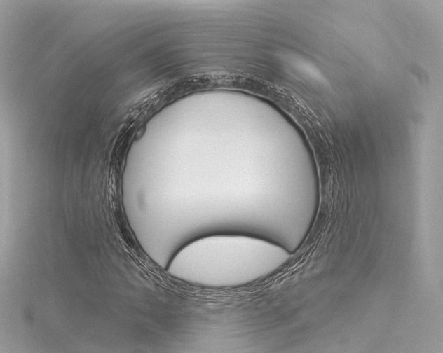 X0000116031062200911200955