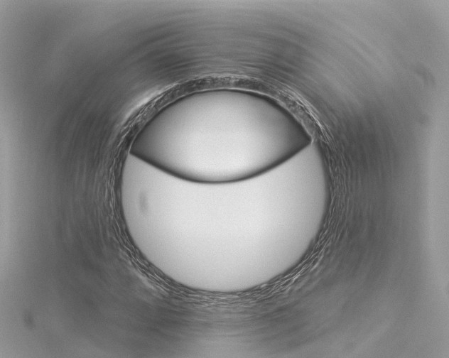 X0000116031064200911200955