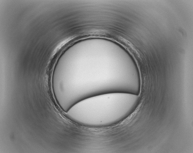 X0000116031066200911200955