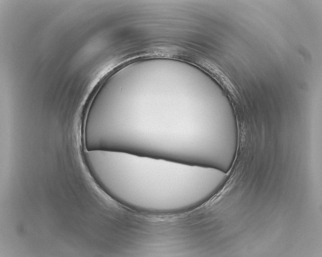 X0000116031083200911200955