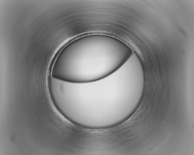 X0000116031084200911200955