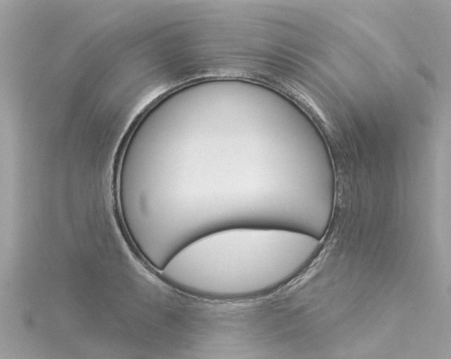 X0000116031087200911200955