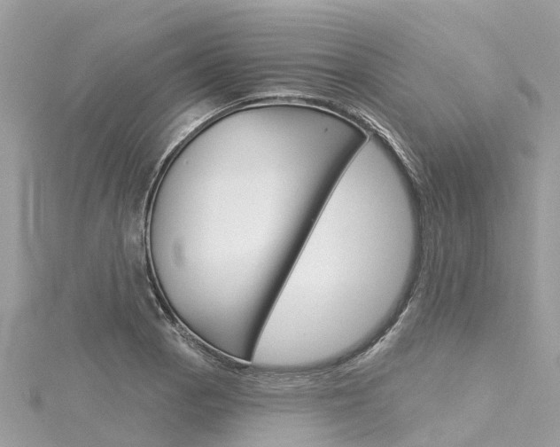 X0000116031129200911200954