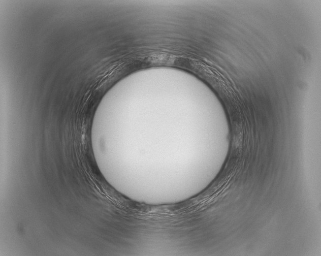 X0000116031154200911200954