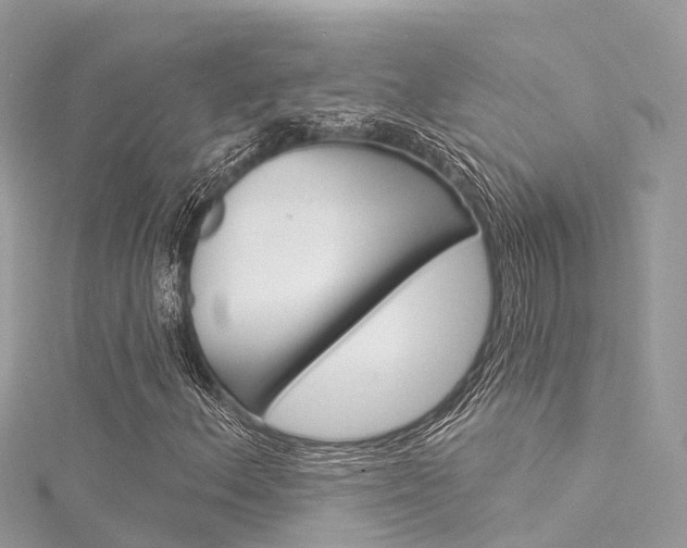 X0000116031156200911200954