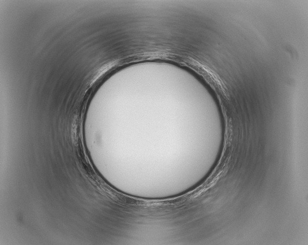 X0000116031162200911200954
