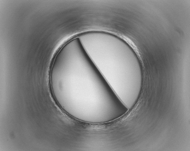 X0000116031183200911200954