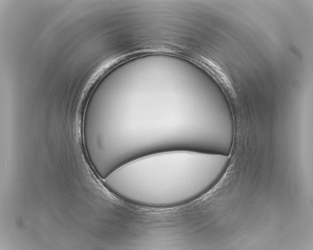 X0000116031188200911200953