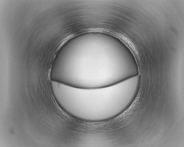 X0000116031193200911200953