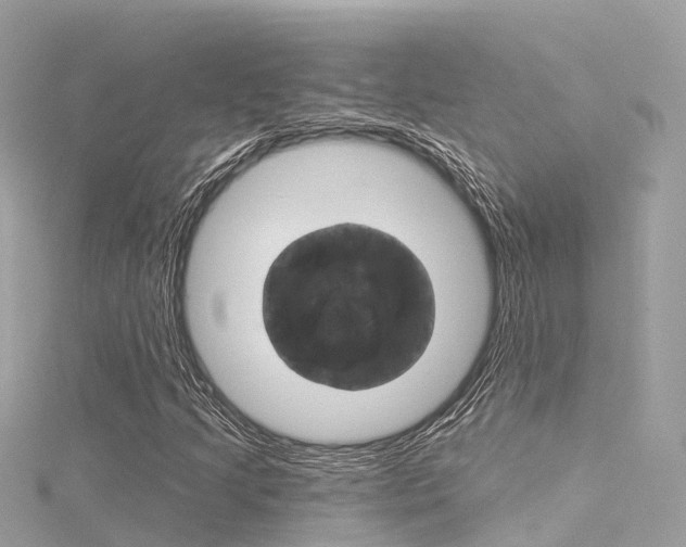 X0000116031205200911200953