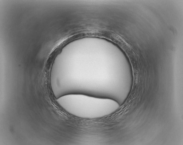 X0000116031208200911200953