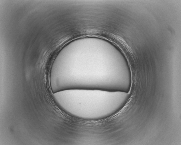 X0000116031209200911200953