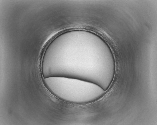 X0000116031216200911200953