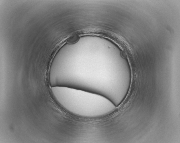 X0000116031217200911200953