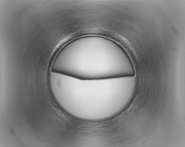 X0000116031218200911200953