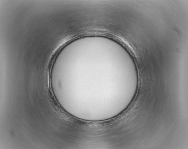 X0000116031219200911200953