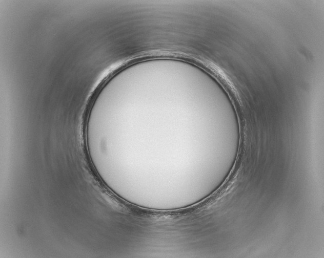 X0000116031230200911200953