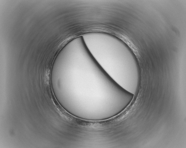 X0000116031233200911200953
