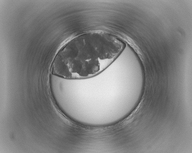 X0000116031234200911200953