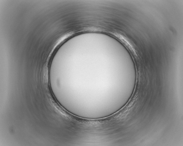 X0000116031238200911200953