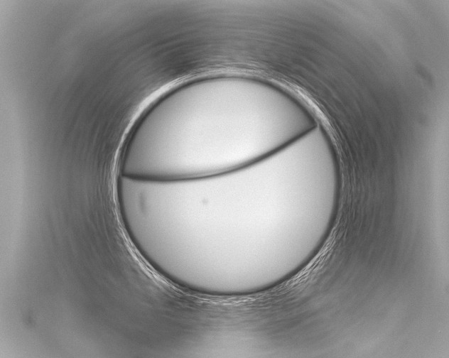 X0000116031246200911200953