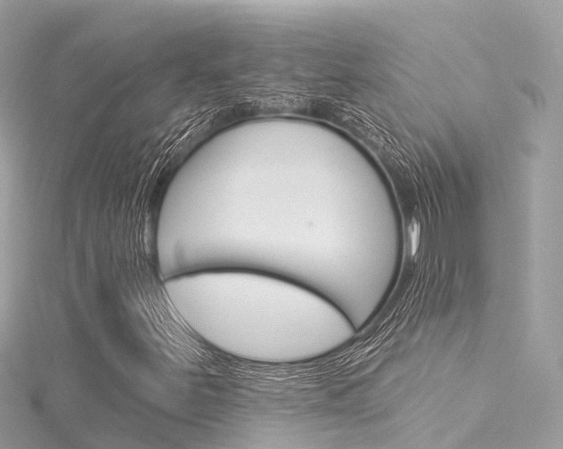 X0000116031251200911200953