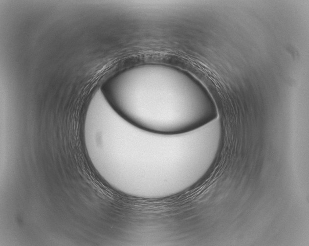 X0000116031252200911200953