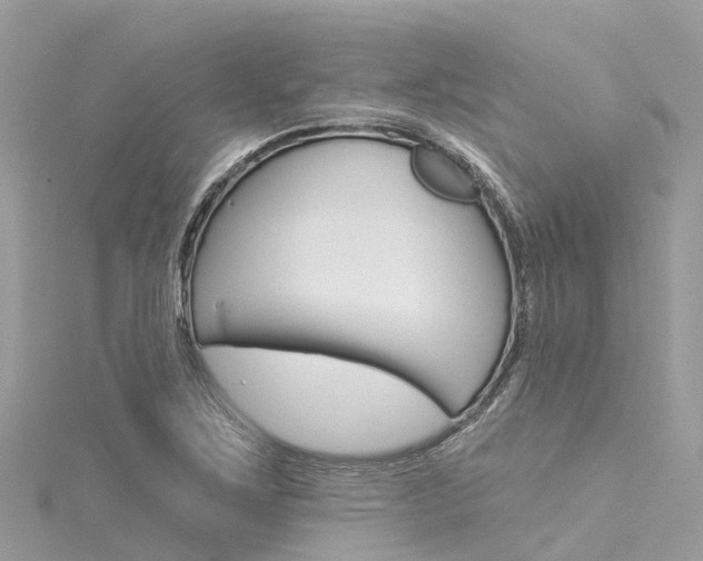 X0000116031267200911200952