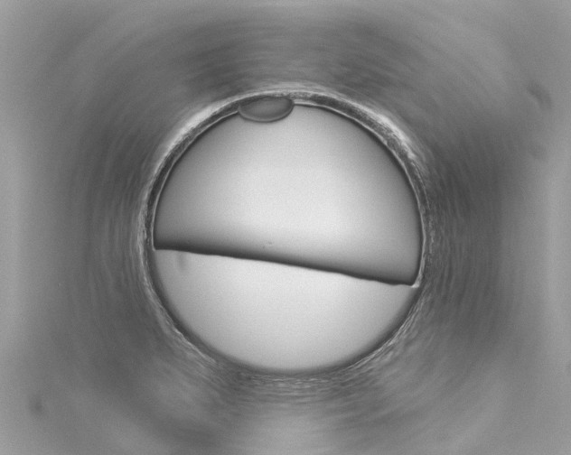 X0000116031279200911200952