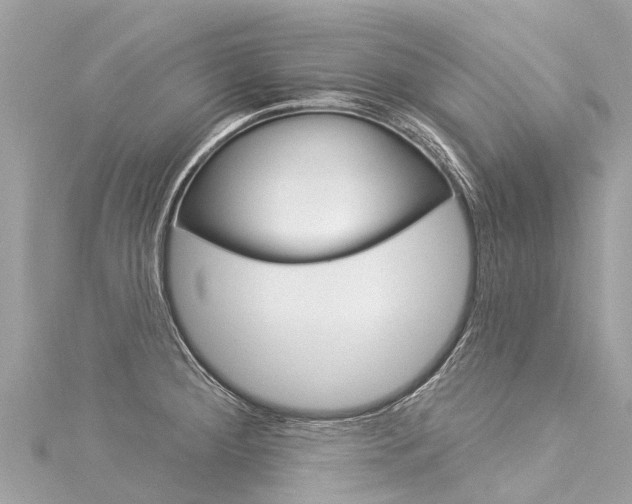 X0000116031284200911200952