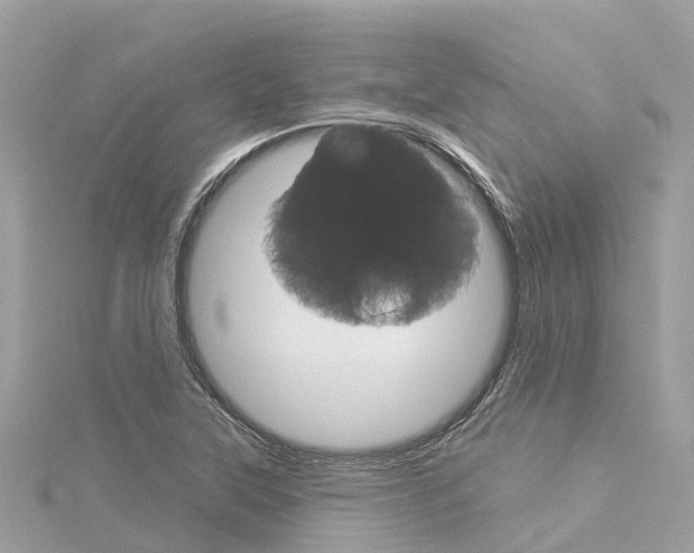X0000116031315200911200952