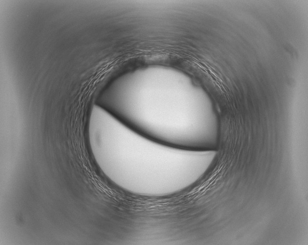 X0000116031345200911200951