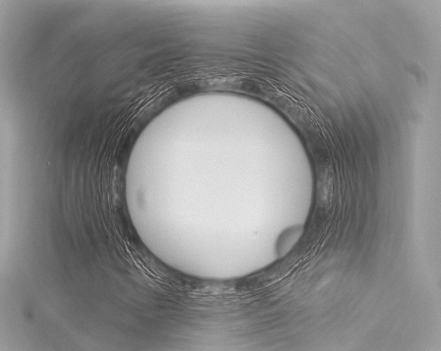X0000116031346200911200951