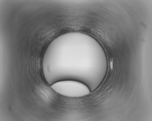 X0000116031347200911200951