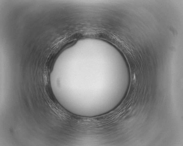 X0000116031348200911200951