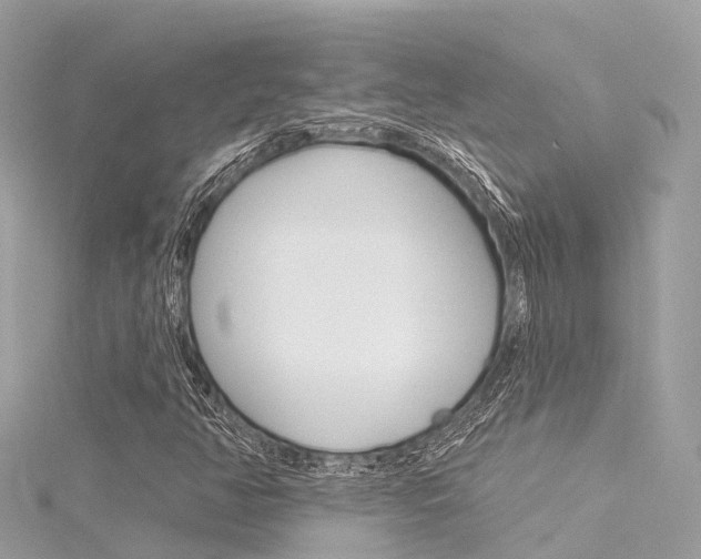 X0000116031350200911200951