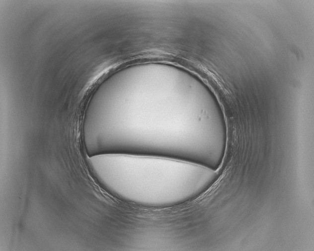 X0000116031355200911200951