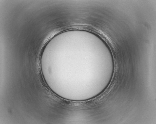 X0000116031362200911200951