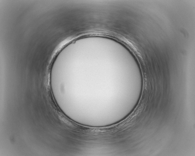 X0000116031366200911200951