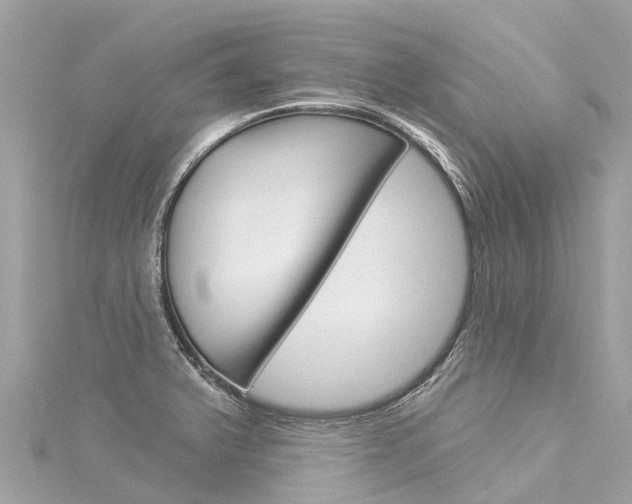X0000116031375200911200951