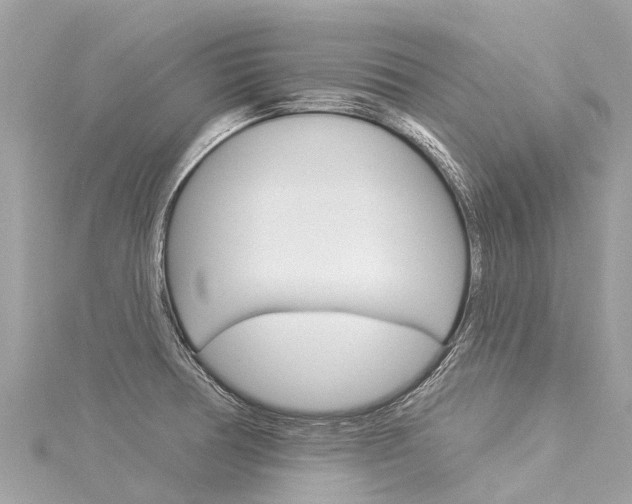 X0000116031378200911200951