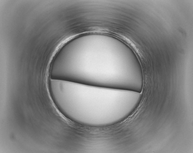 X0000116031379200911200951