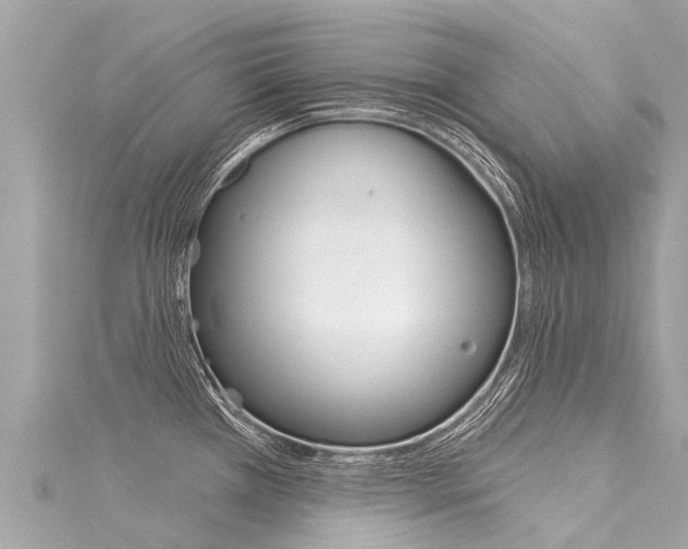 X0000116031385200911200951