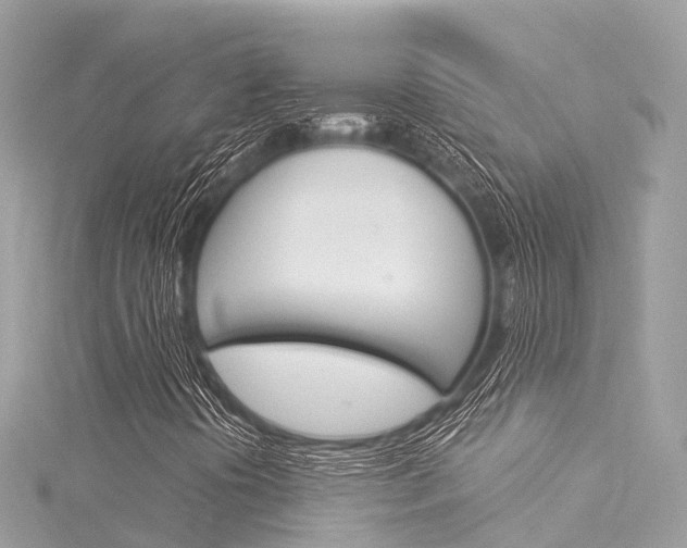 X0000116031394200911200950