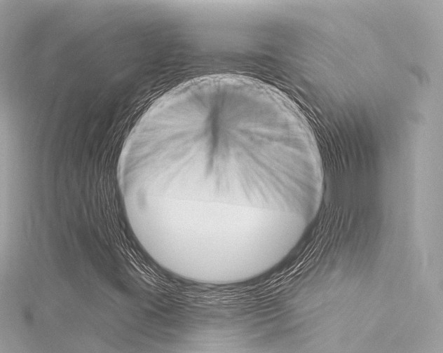 X0000116031395200911200950